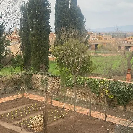 El Pedro De Apartment *